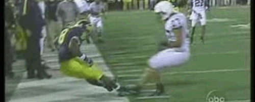 Sure, that was a catch in bounds. If you were blind and a Big Ten referee working a Michigan game.