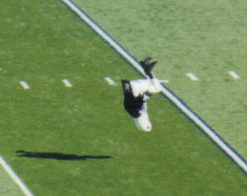 PSU drum major